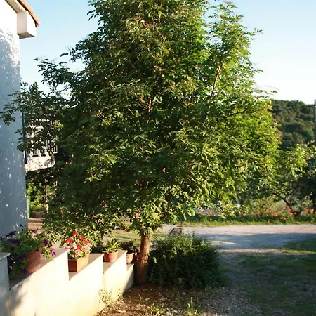 Apartma Nada Izola
